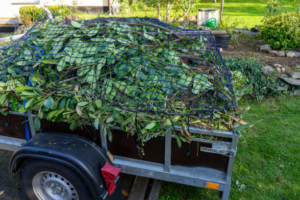 Best Residential Junk Removal  in Dillon, MT